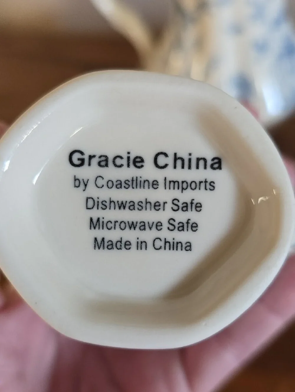 7 Piece Gracie China Tea Set Tote 15